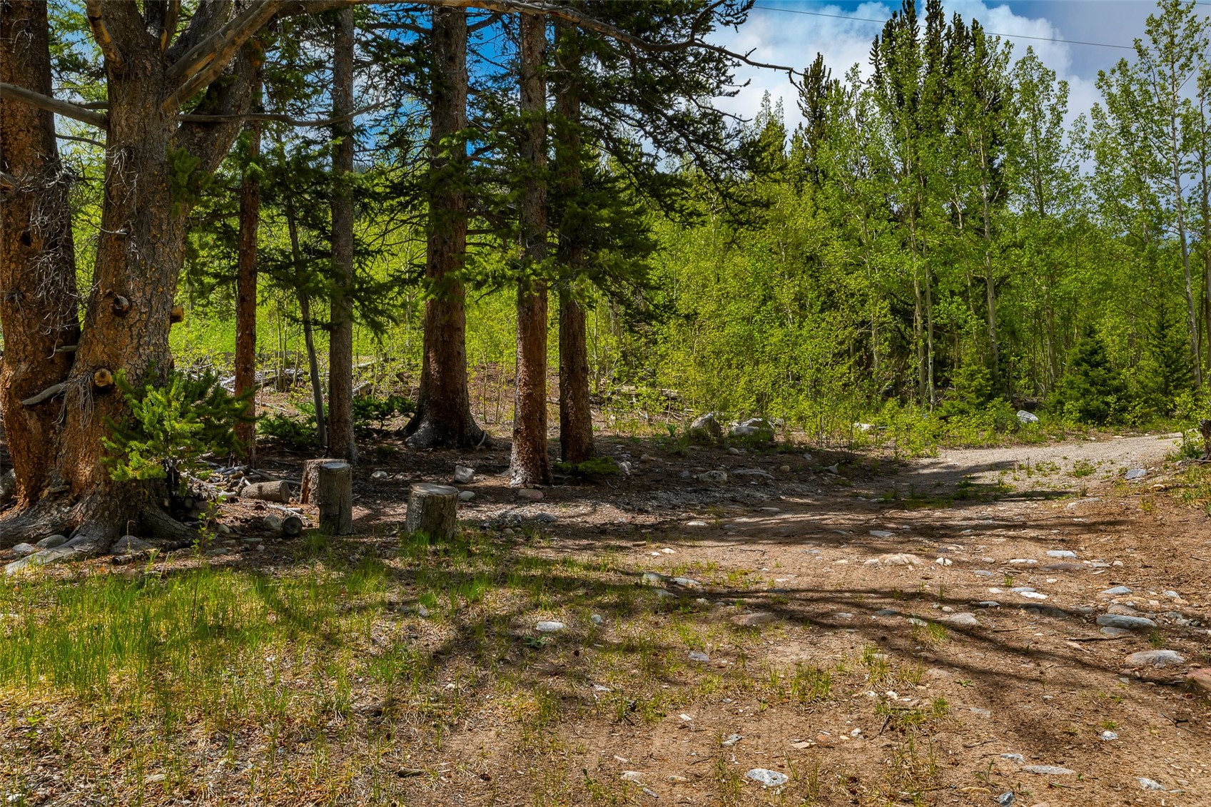 522 Quartzville Road Alma CO 80420