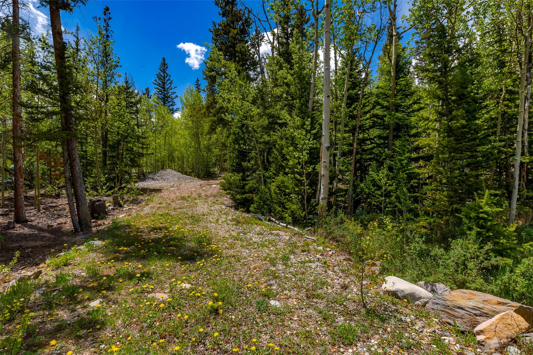 522 Quartzville Road Alma CO 80420