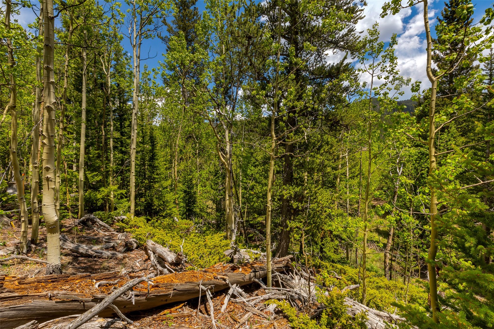 522 Quartzville Road Alma CO 80420