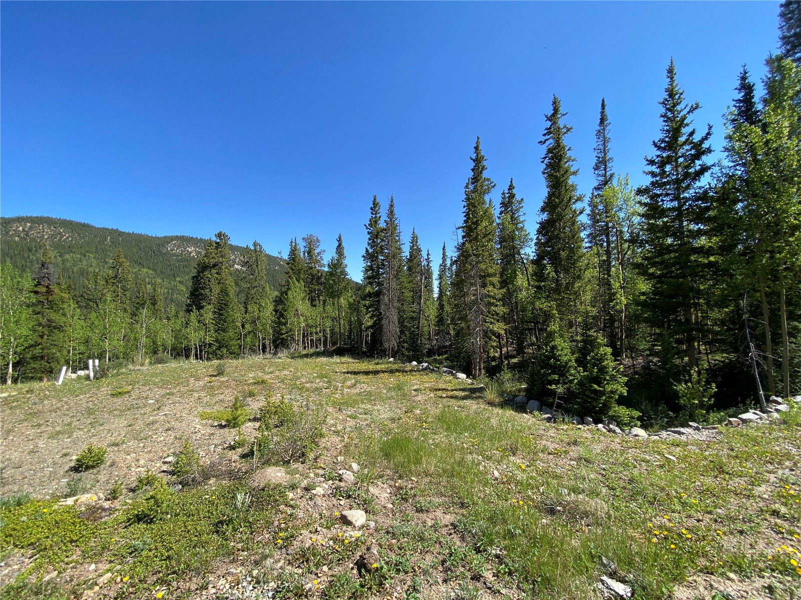 522 Quartzville Road Alma CO 80420