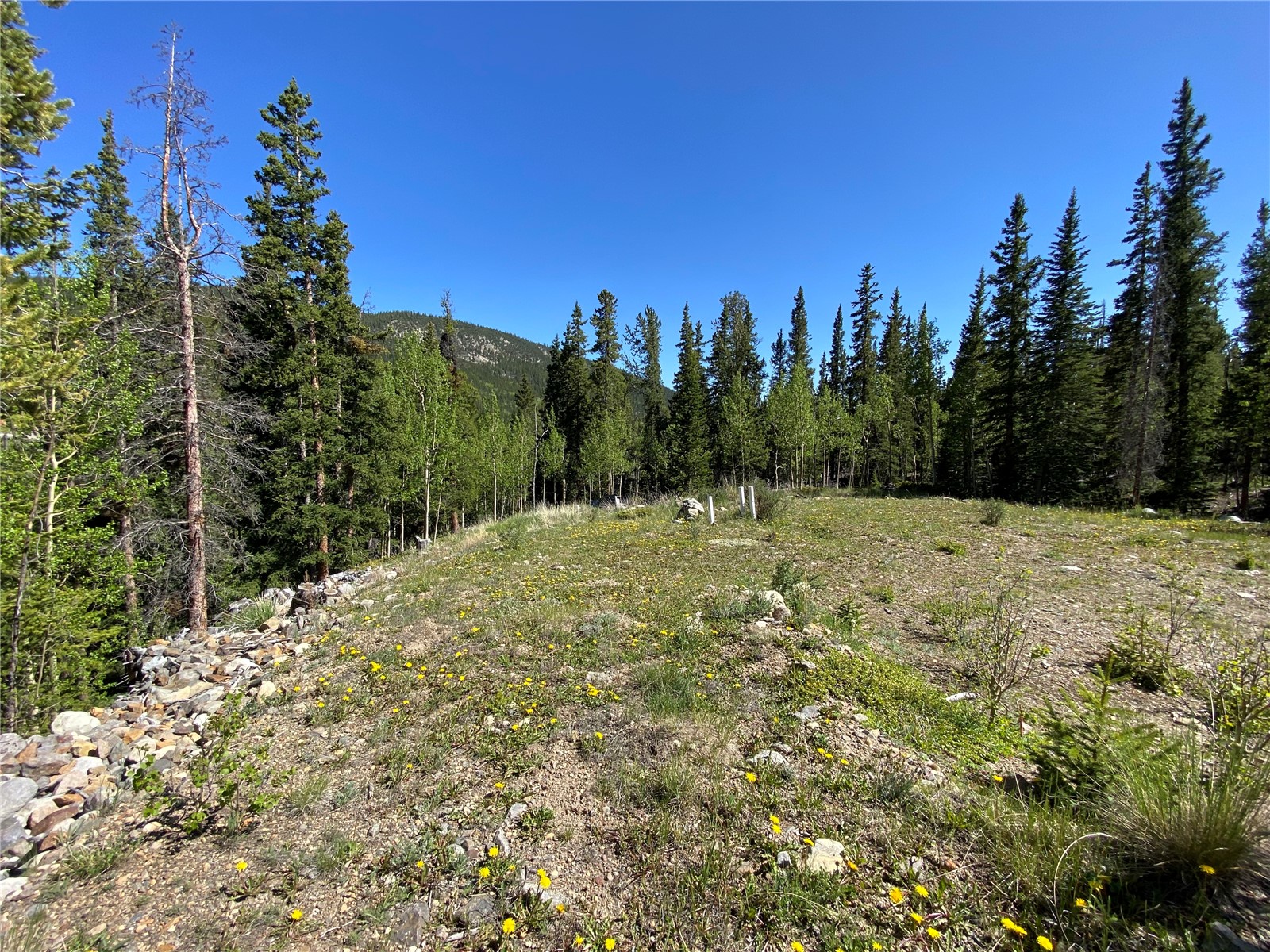 522 Quartzville Road Alma CO 80420