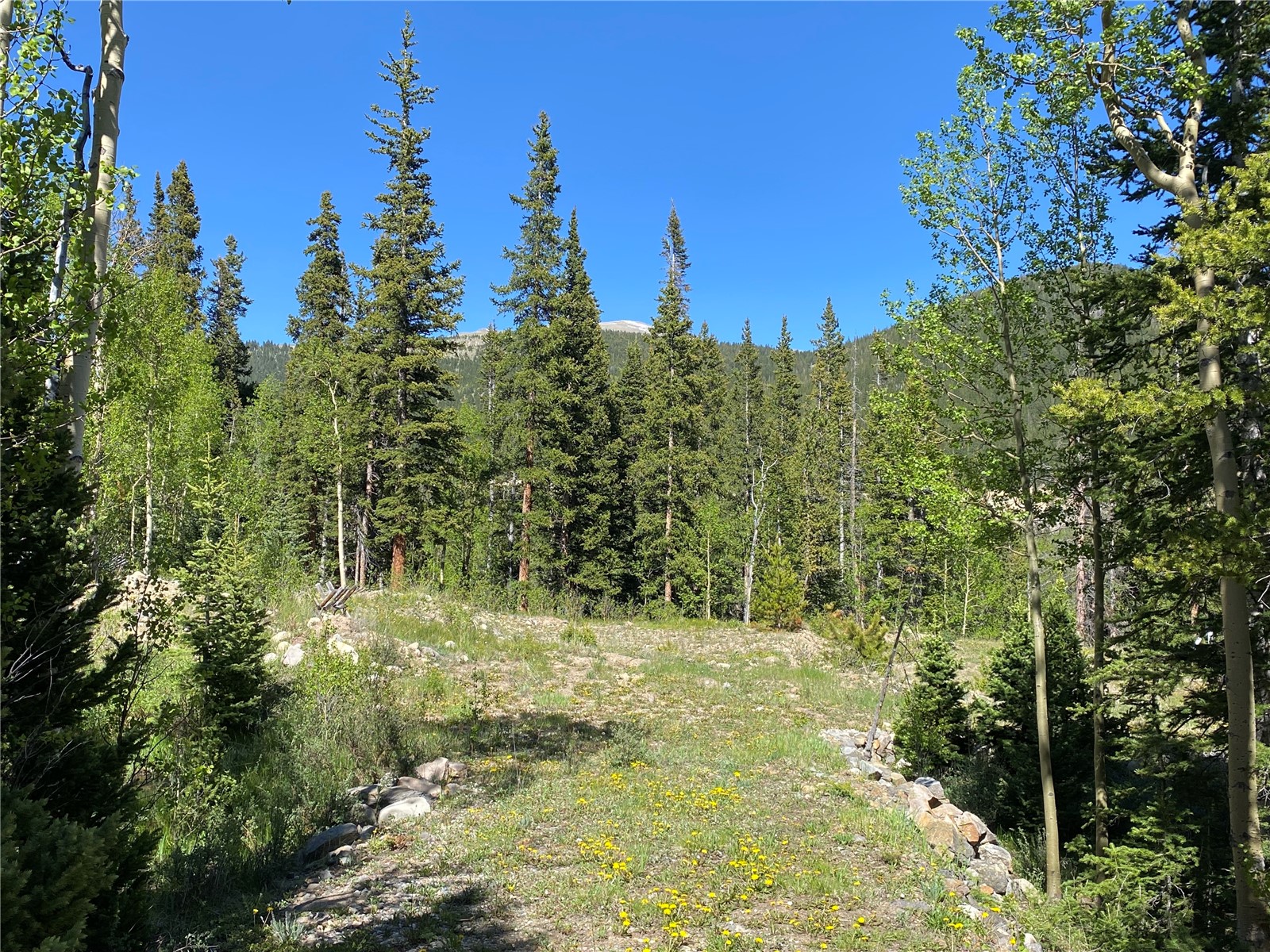 522 Quartzville Road Alma CO 80420
