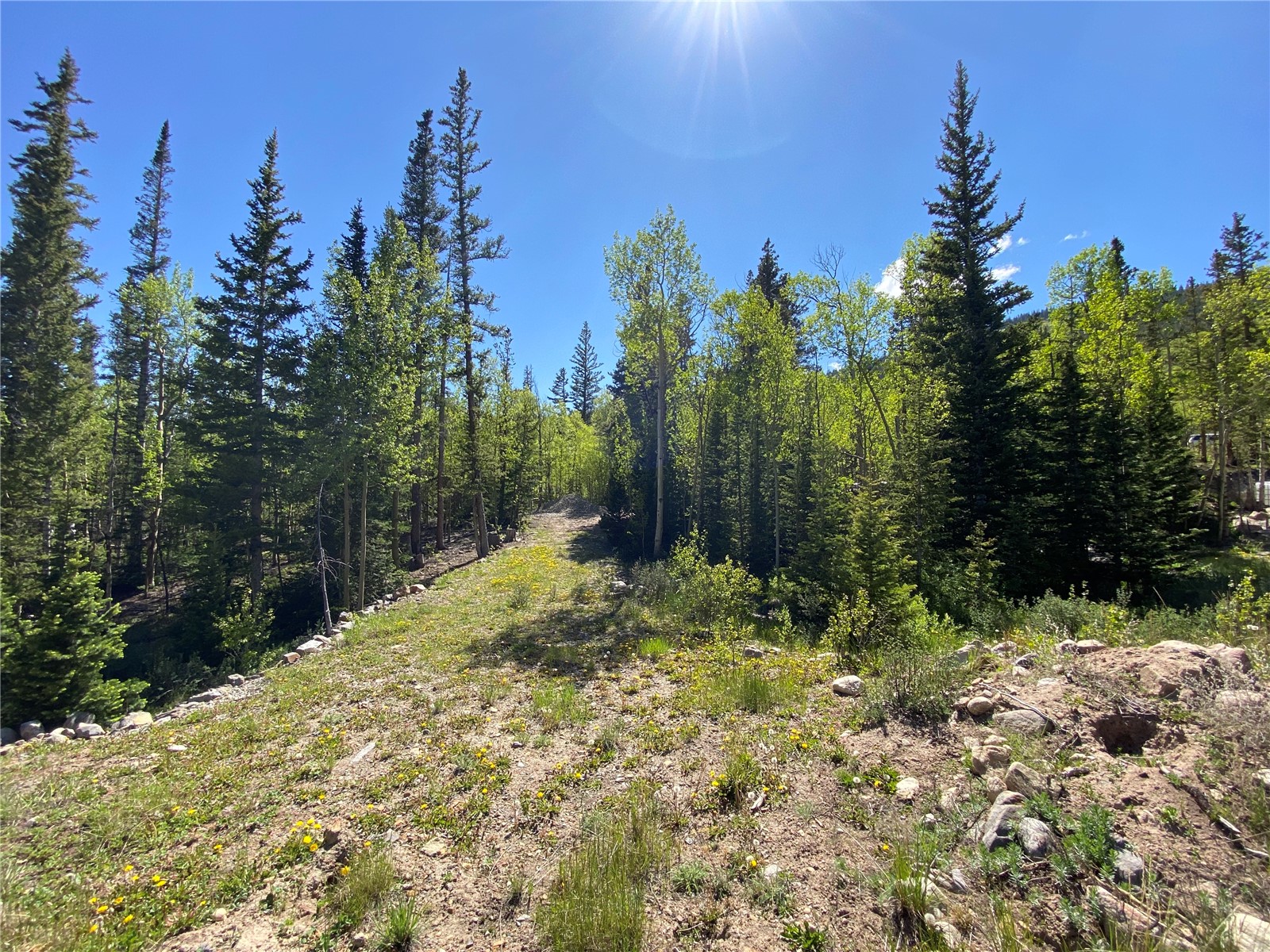 522 Quartzville Road Alma CO 80420