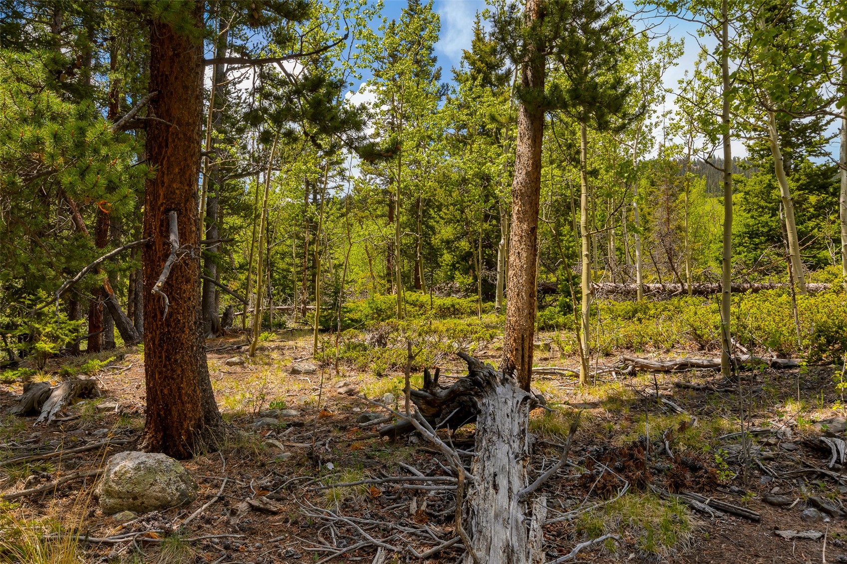 522 Quartzville Road Alma CO 80420