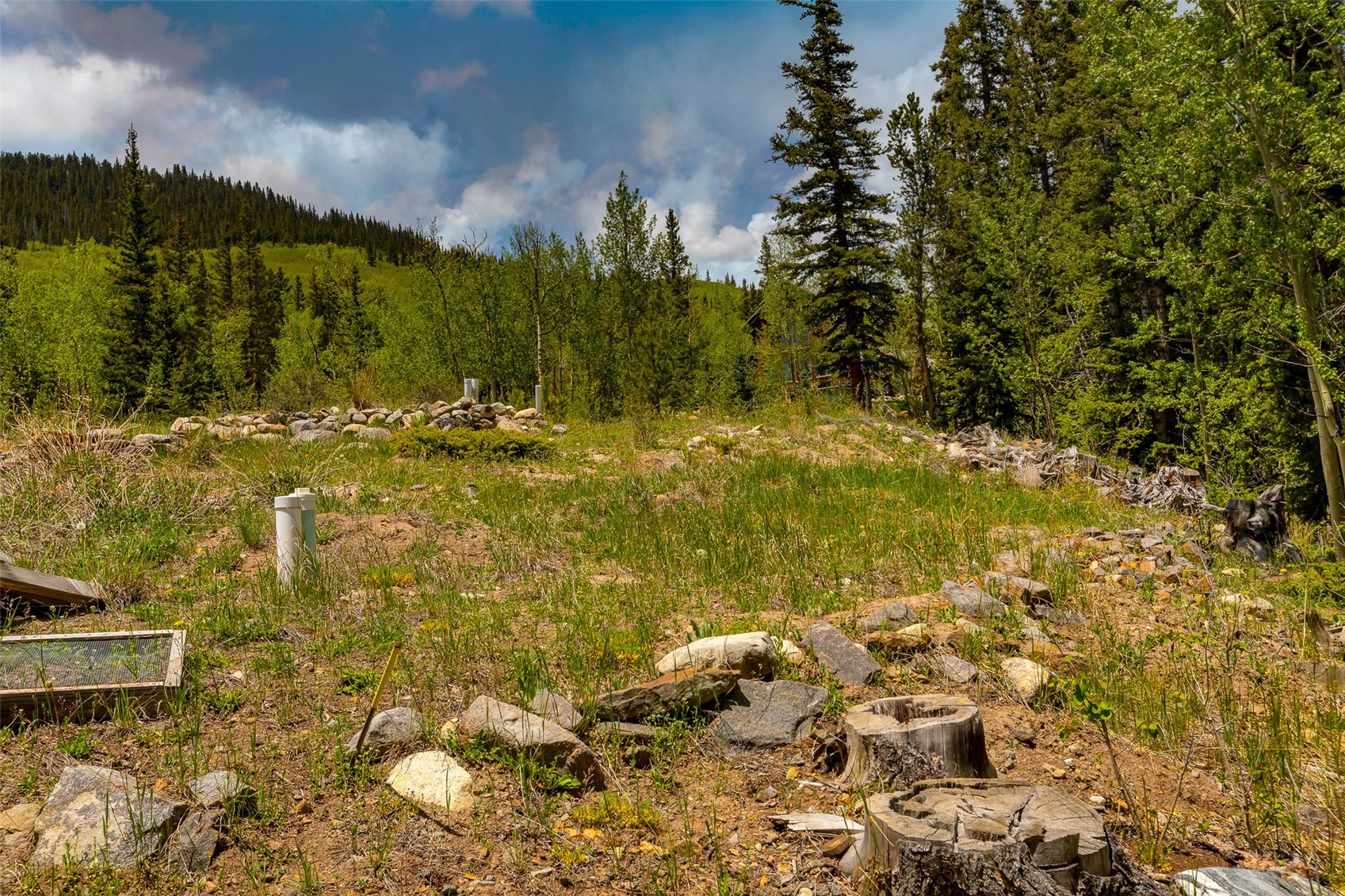 522 Quartzville Road Alma CO 80420
