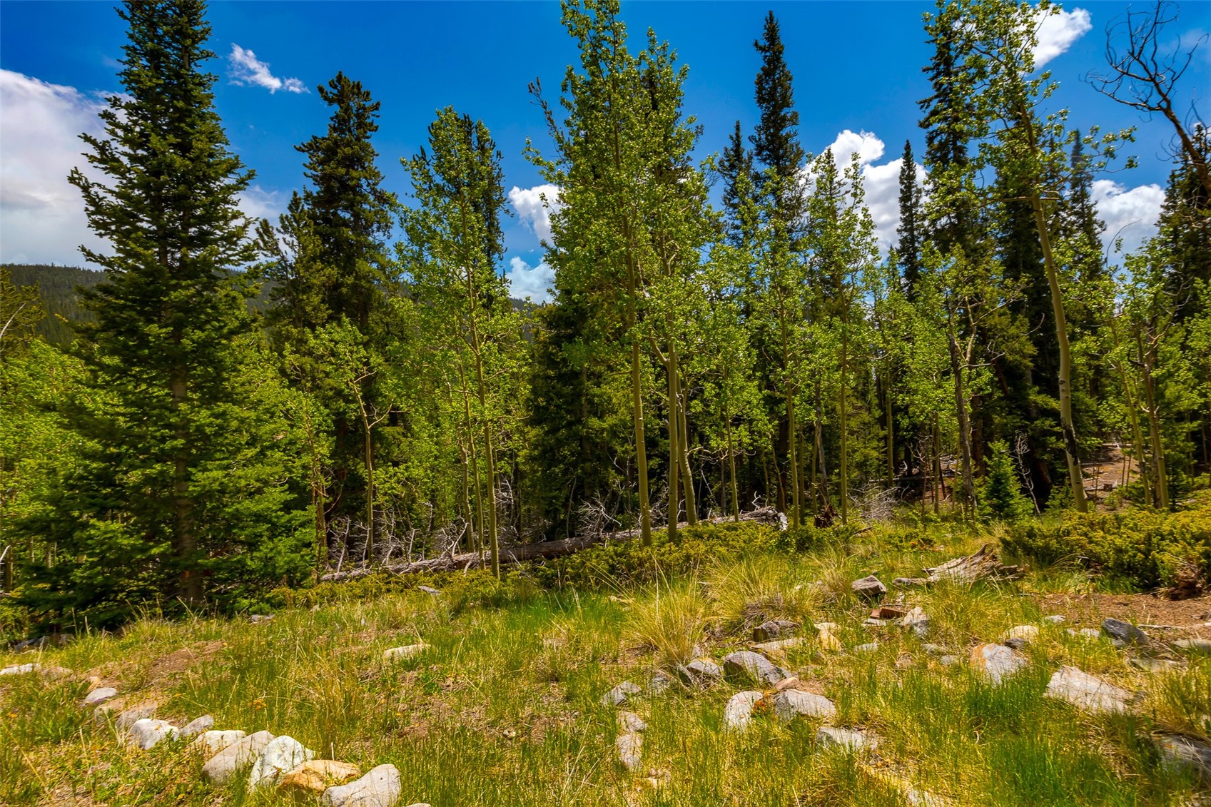 522 Quartzville Road Alma CO 80420