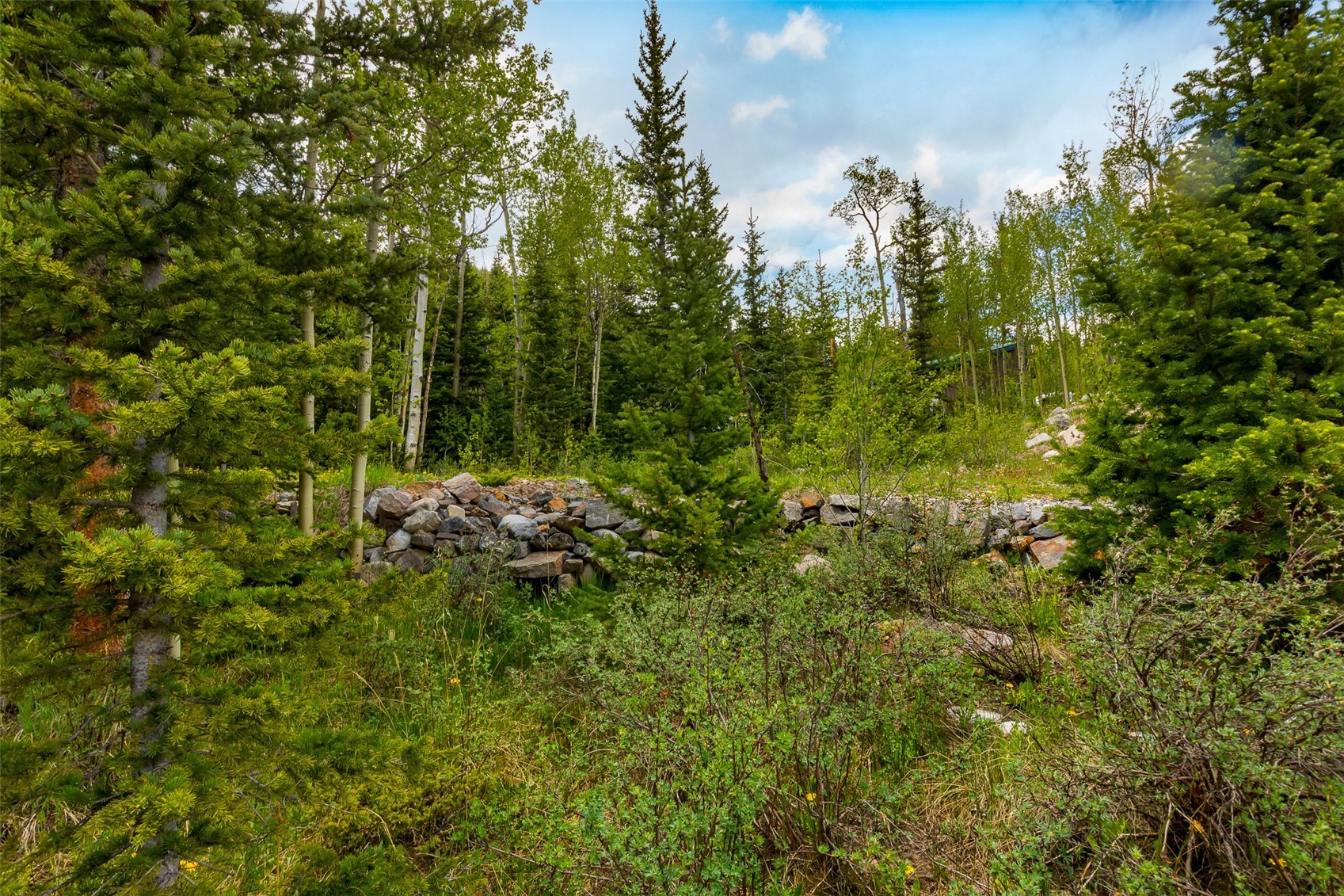 522 Quartzville Road Alma CO 80420