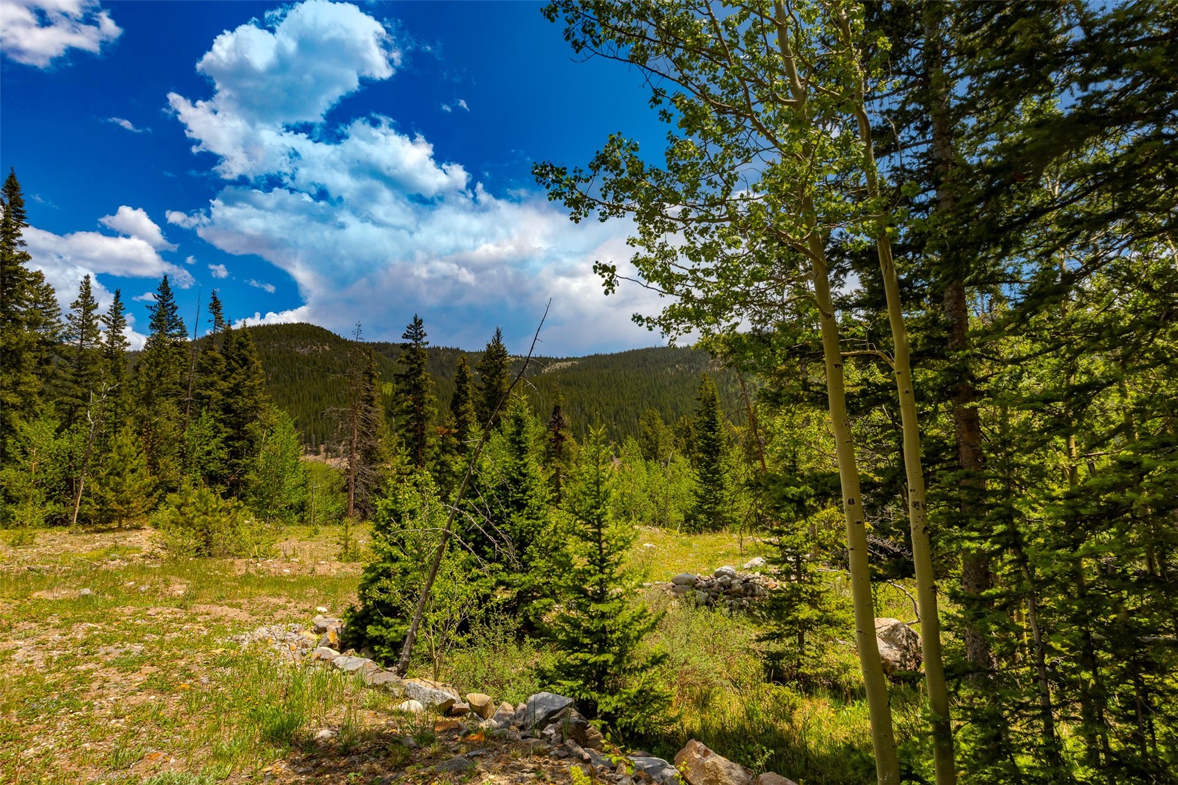 522 Quartzville Road Alma CO 80420