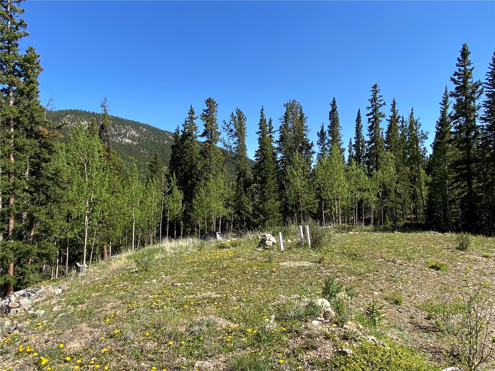 522 Quartzville Road Alma CO 80420
