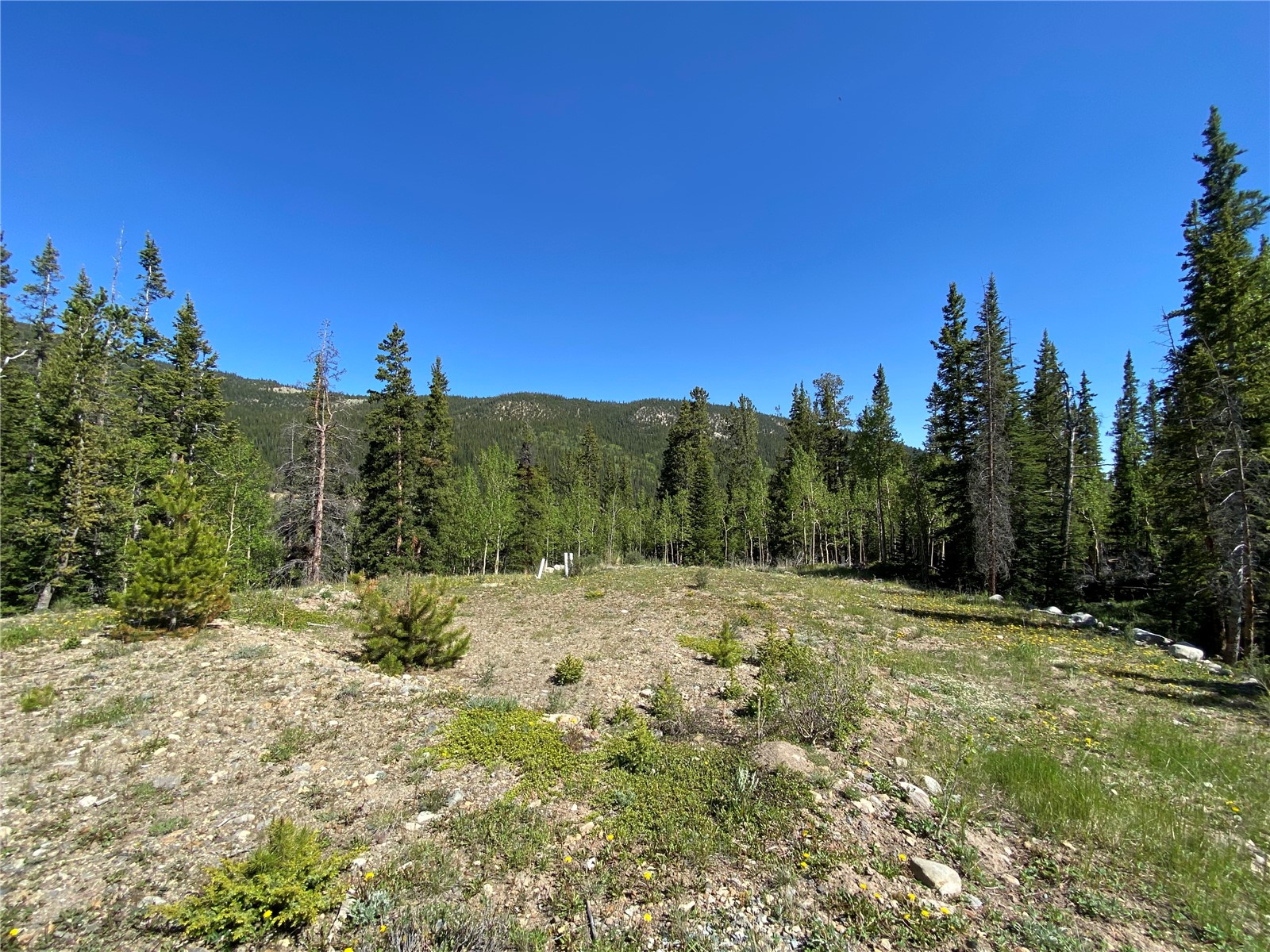 522 Quartzville Road Alma CO 80420