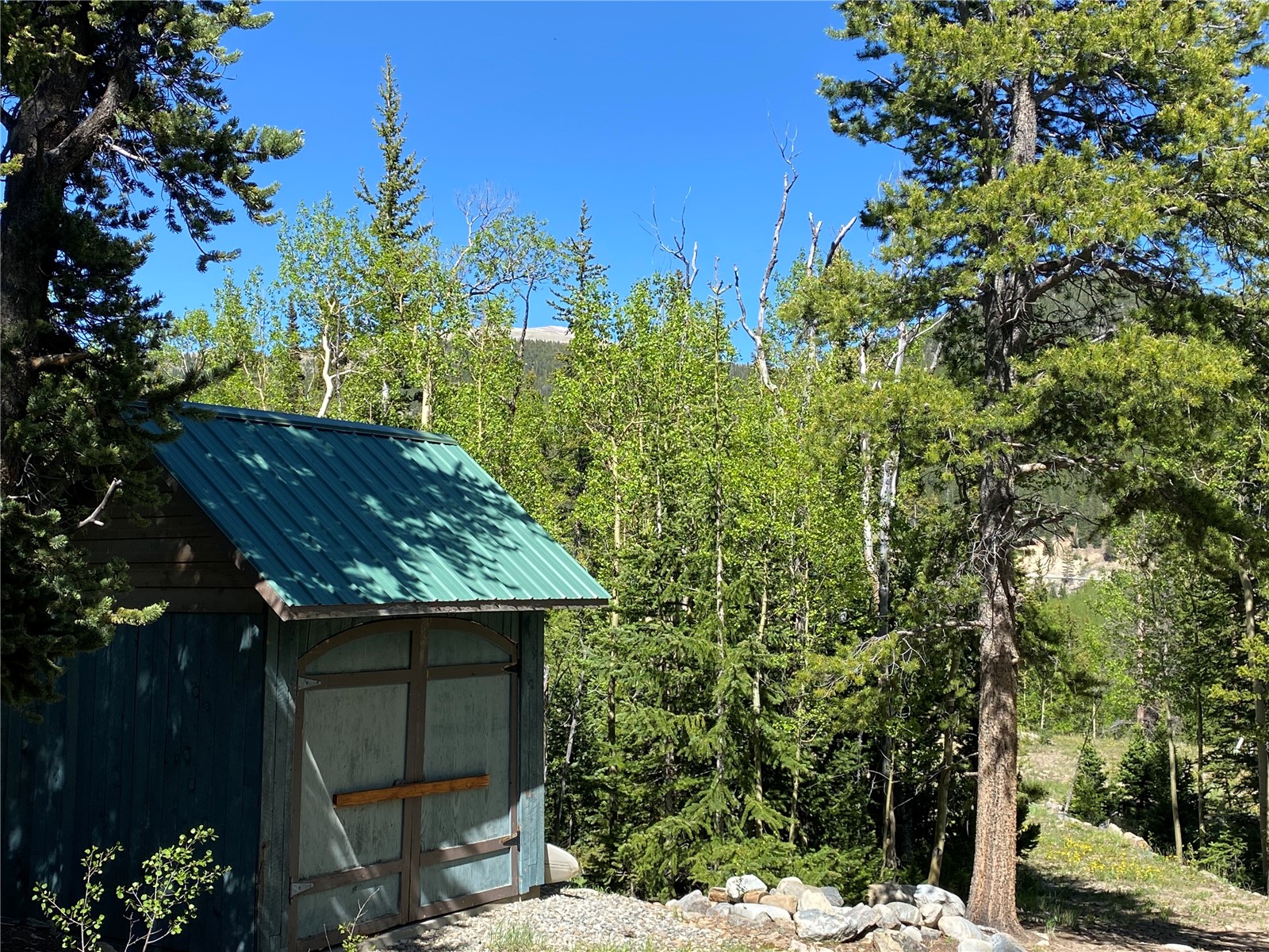 522 Quartzville Road Alma CO 80420