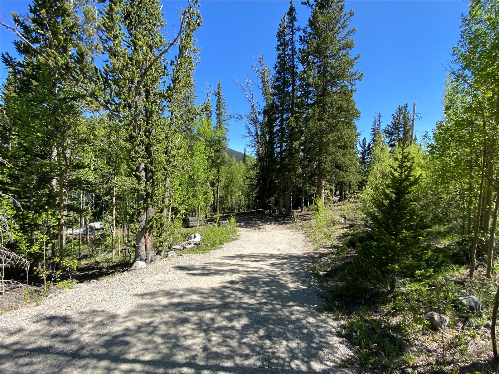 522 Quartzville Road Alma CO 80420