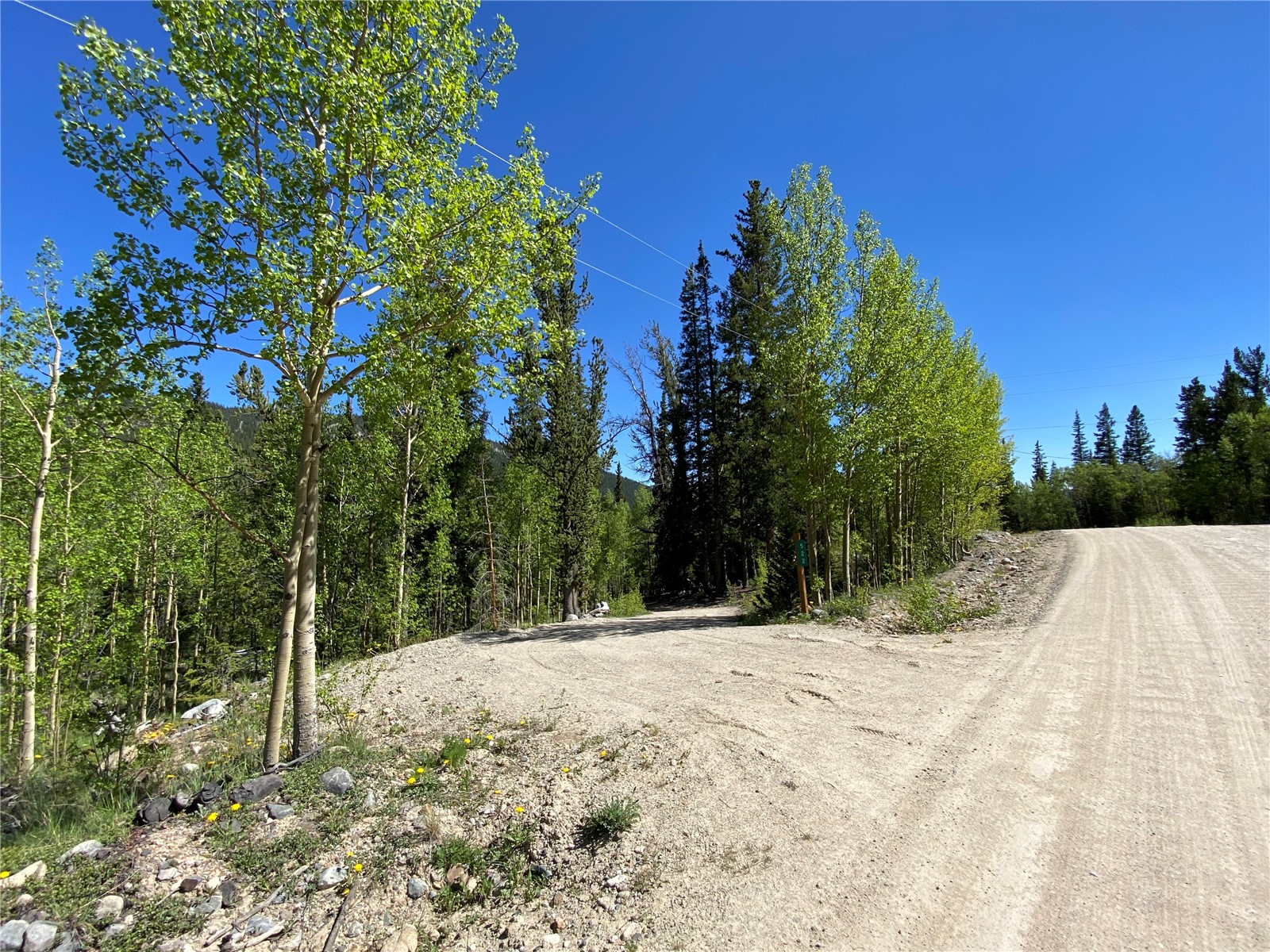 522 Quartzville Road Alma CO 80420