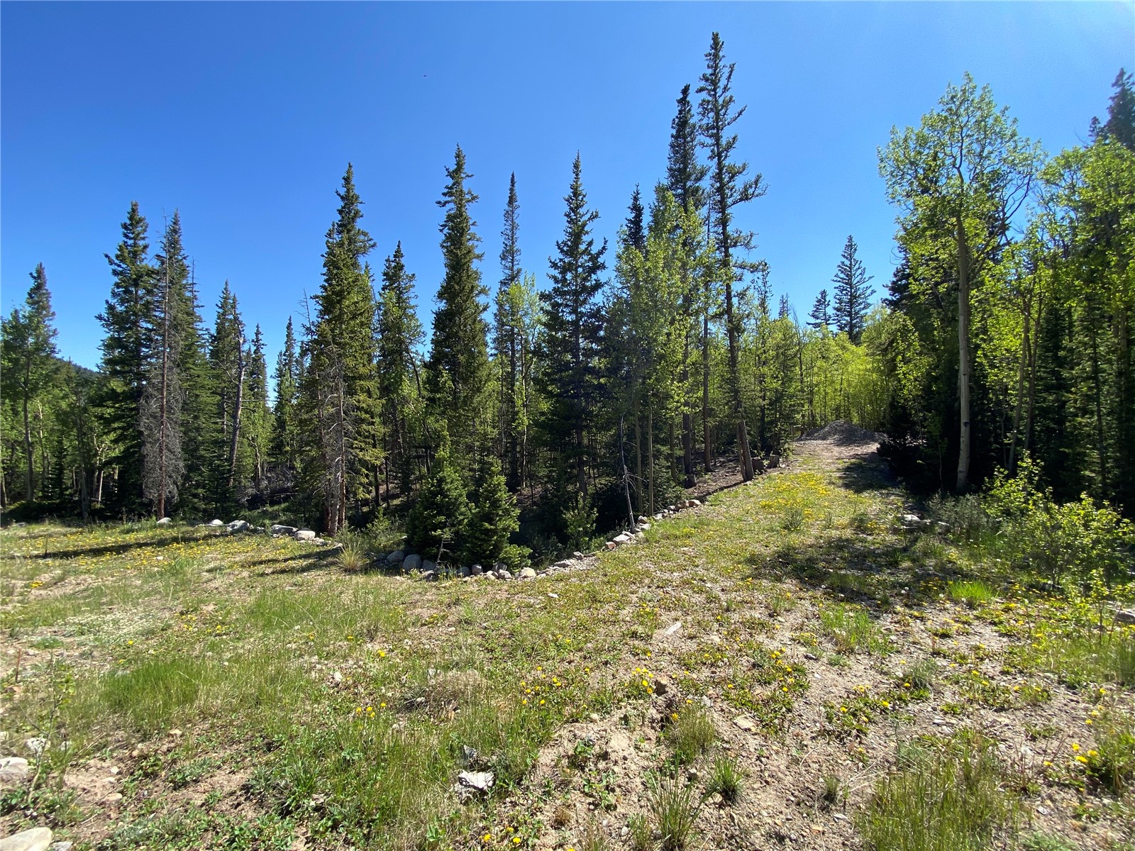 522 Quartzville Road Alma CO 80420