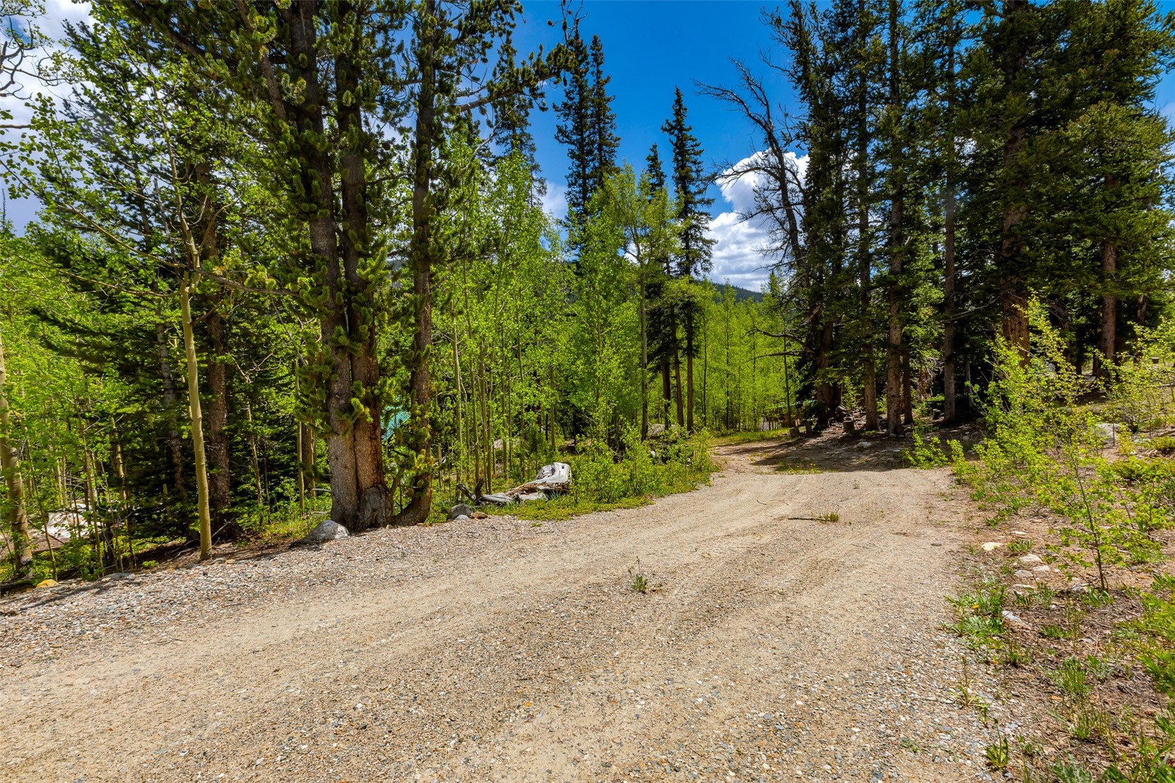 522 Quartzville Road Alma CO 80420