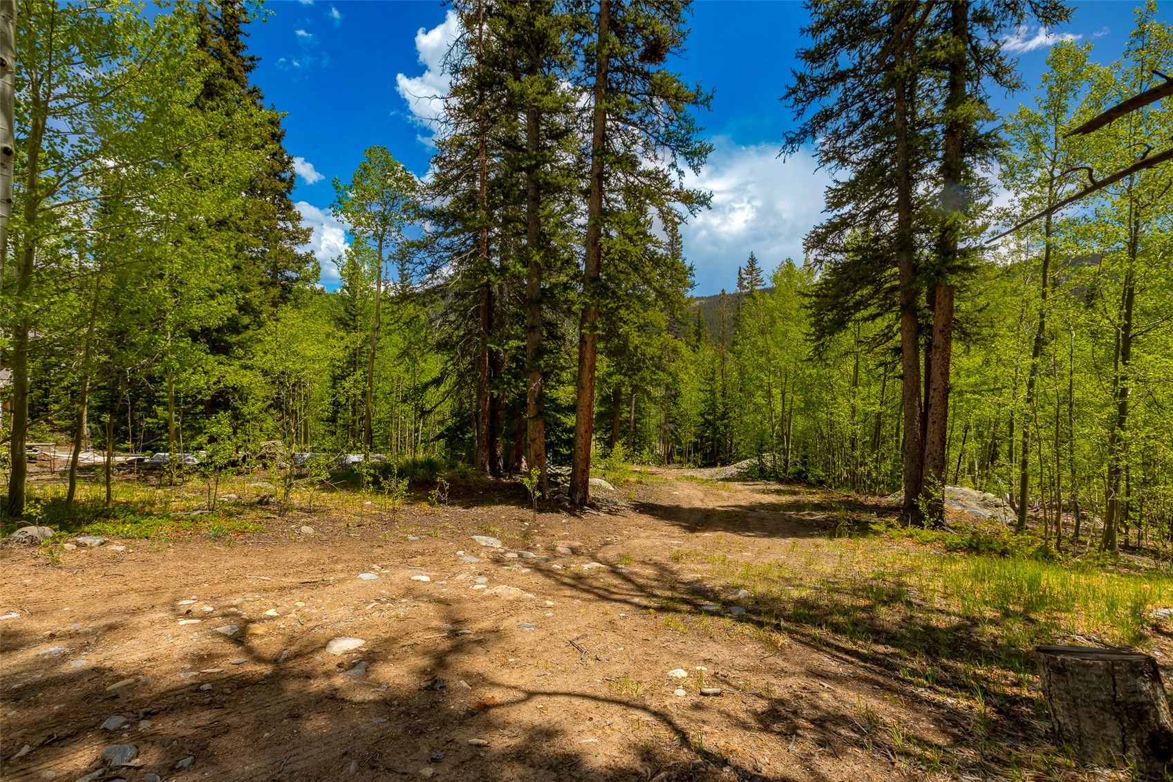 522 Quartzville Road Alma CO 80420