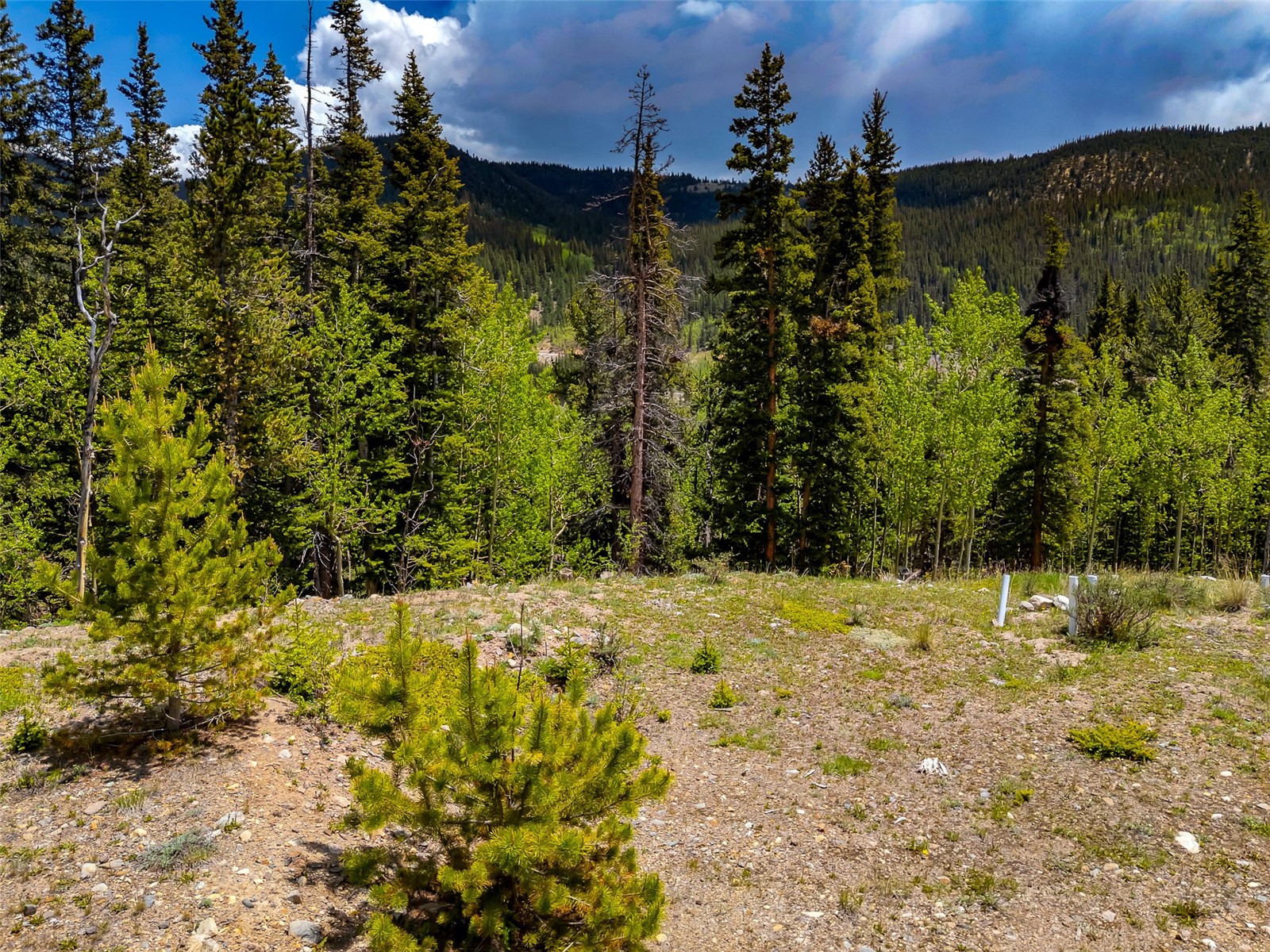 522 Quartzville Road Alma CO 80420