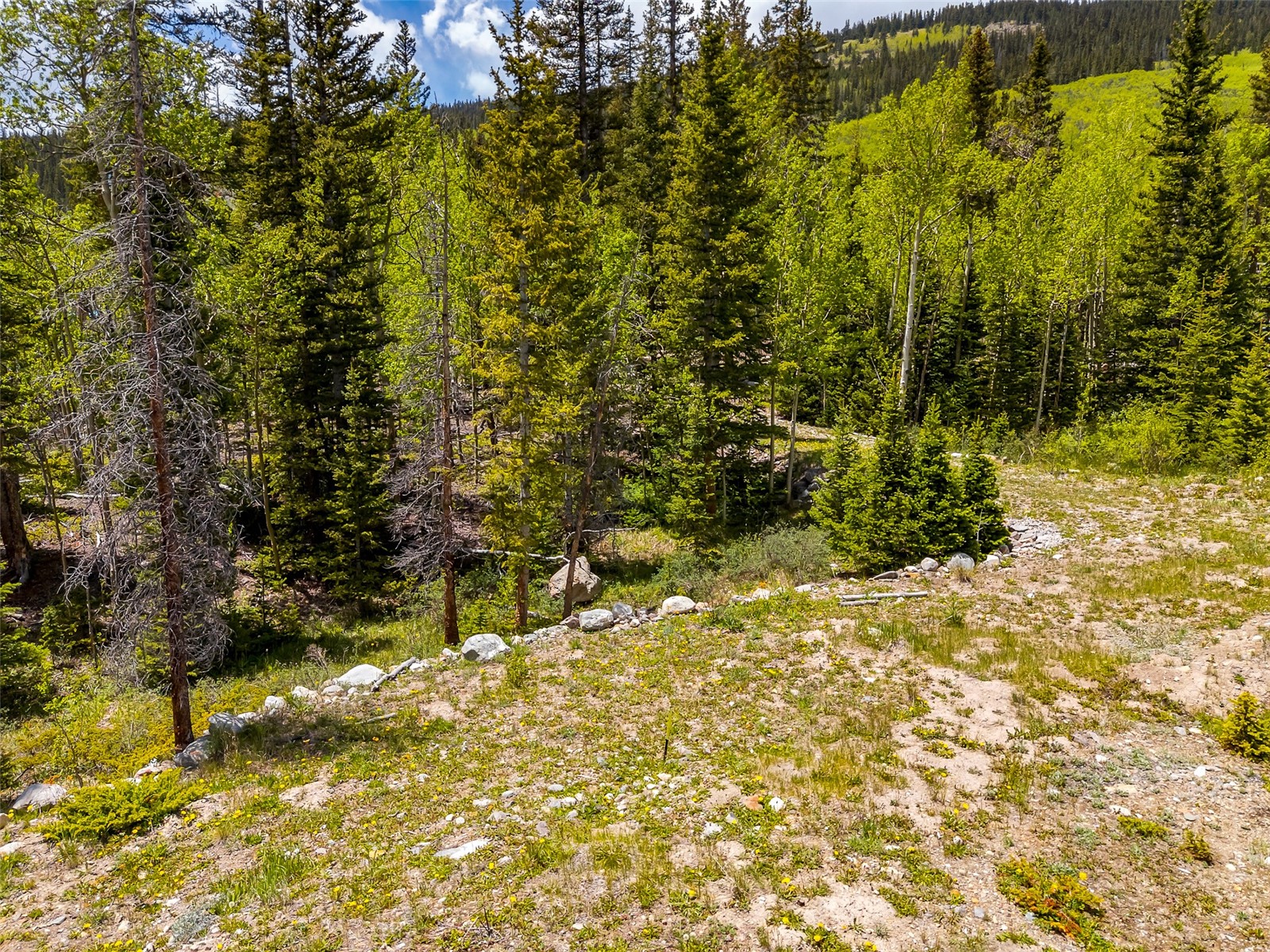 522 Quartzville Road Alma CO 80420