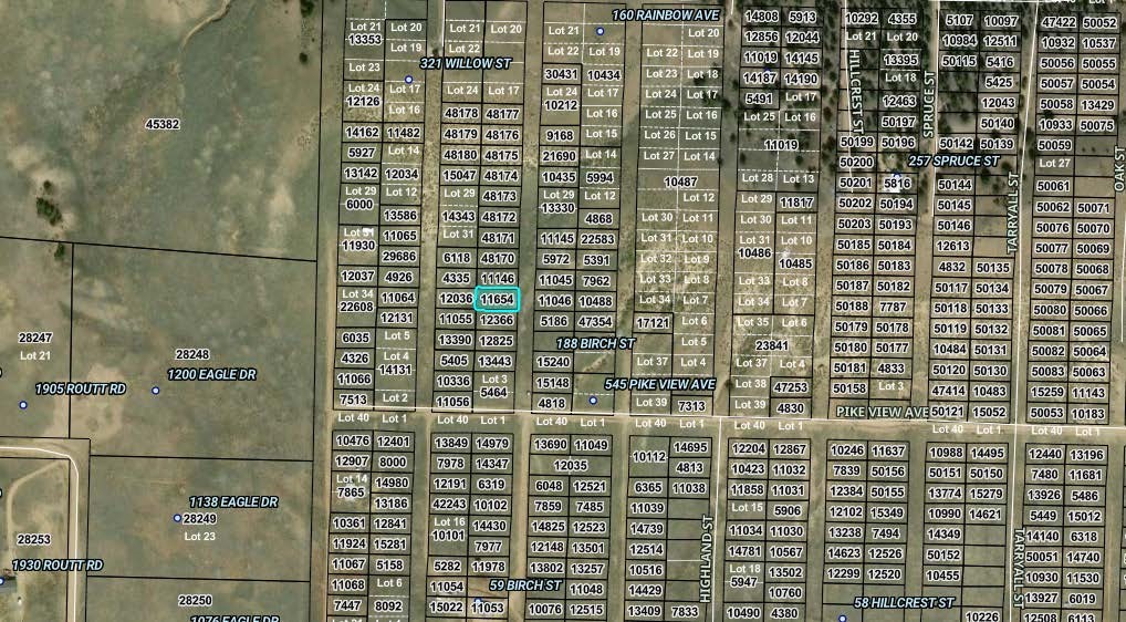 00005 Birch Street Hartsel CO 80449