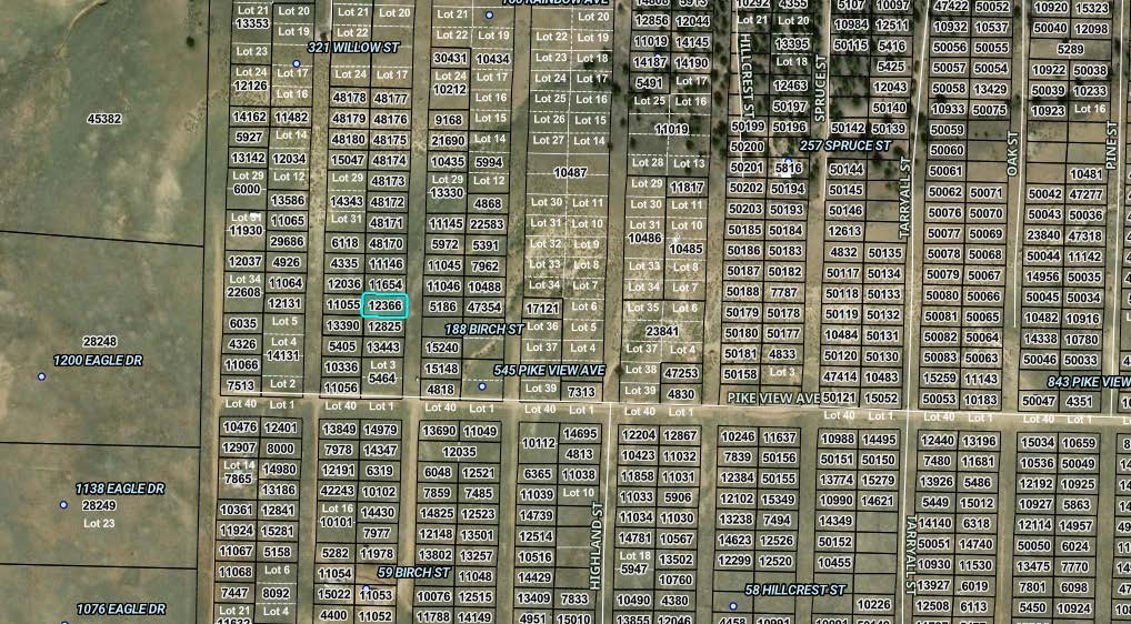00005 Birch Street Hartsel CO 80449