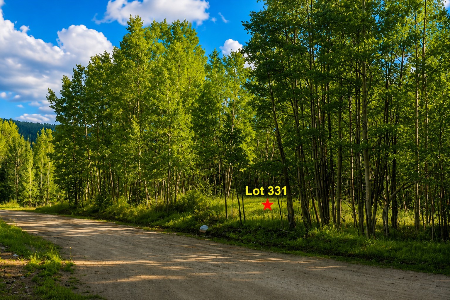 331 Titmouse Drive Alma CO 80420
