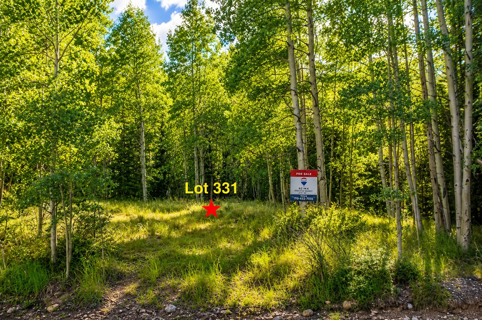 331 Titmouse Drive Alma CO 80420