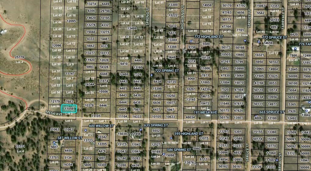 00000 Willow Street Hartsel CO 80449