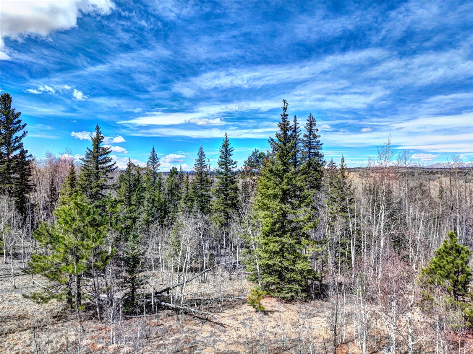101 Patch Court Como CO 80432