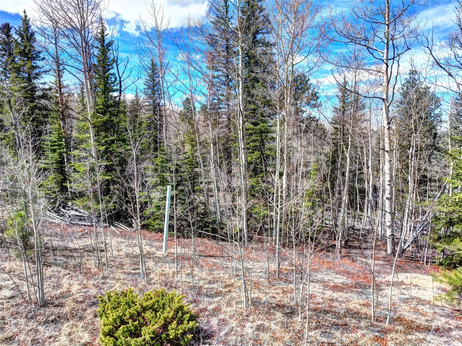 101 Patch Court Como CO 80432