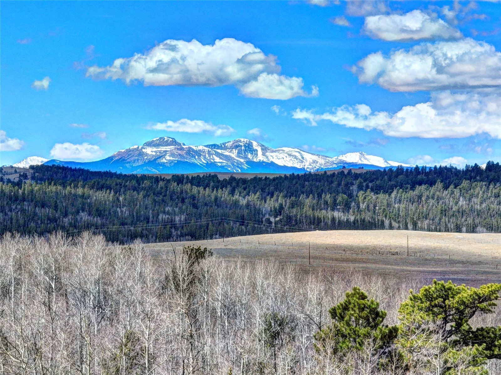 101 Patch Court Como CO 80432