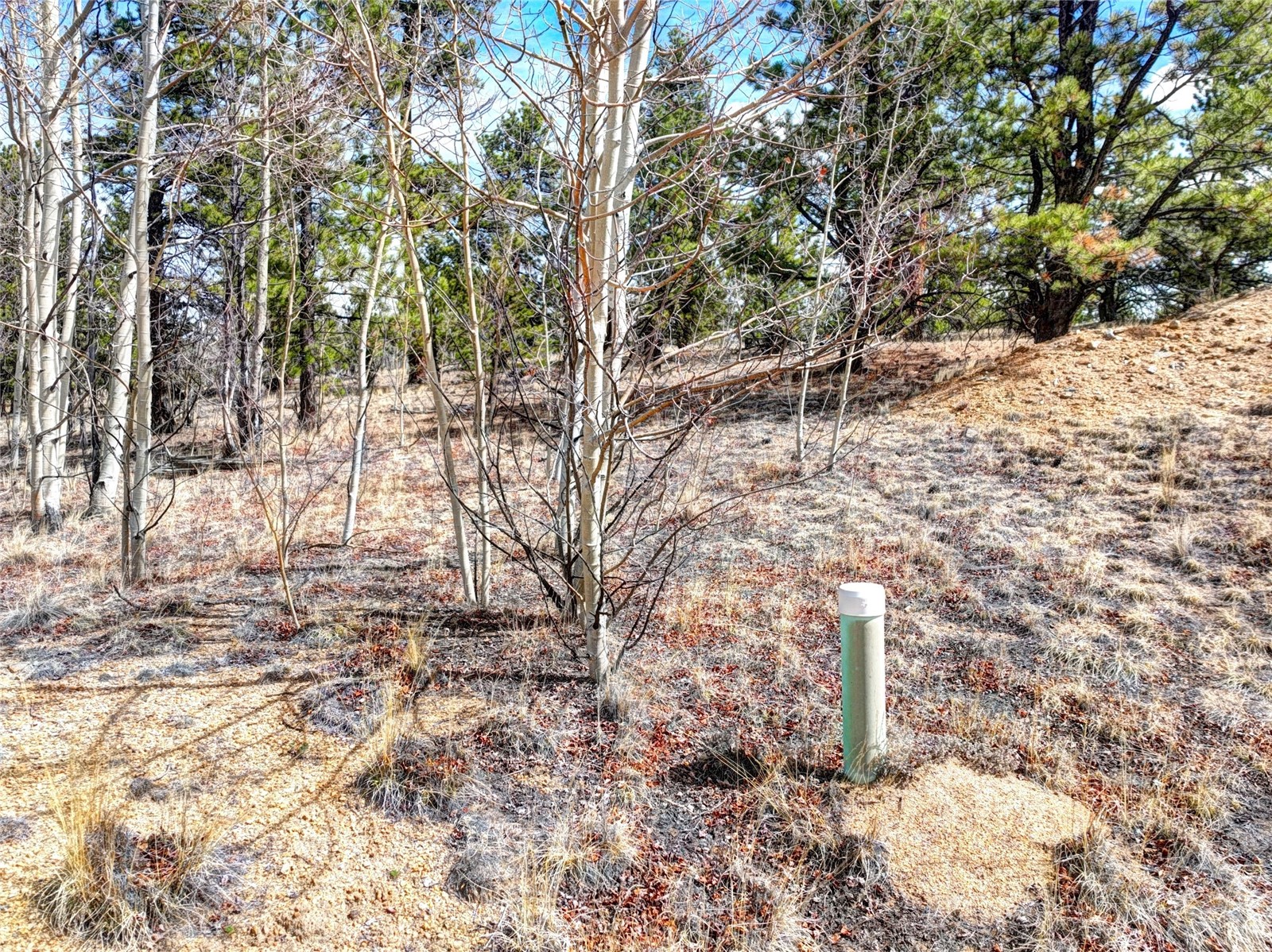 101 Patch Court Como CO 80432