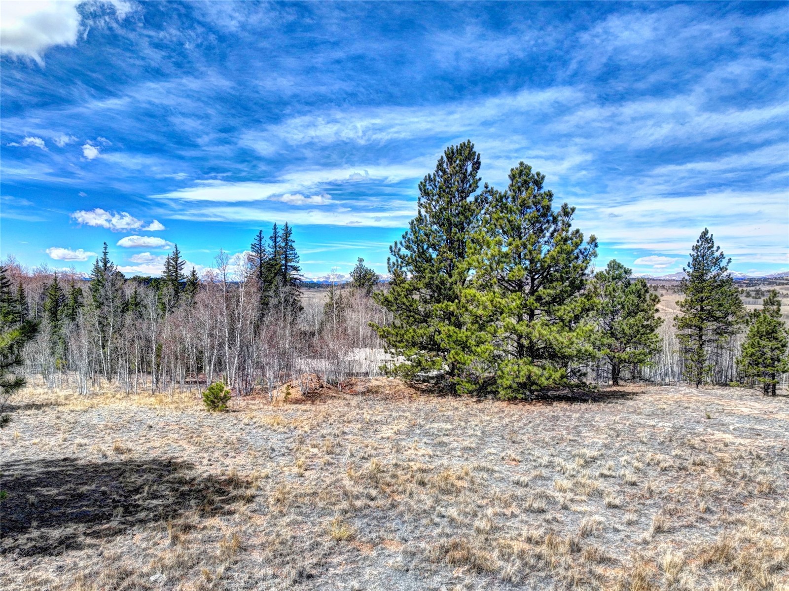 101 Patch Court Como CO 80432