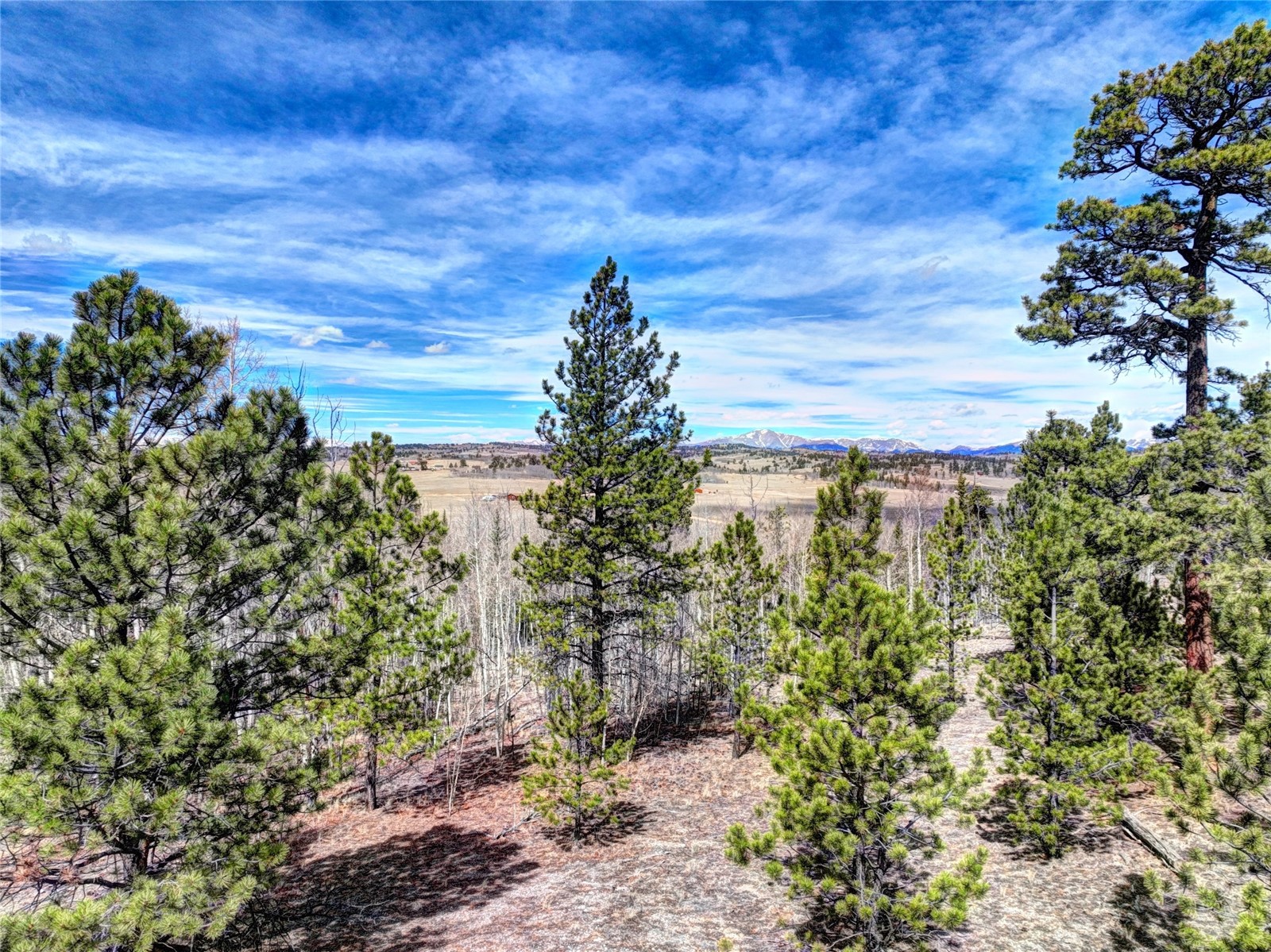 101 Patch Court Como CO 80432
