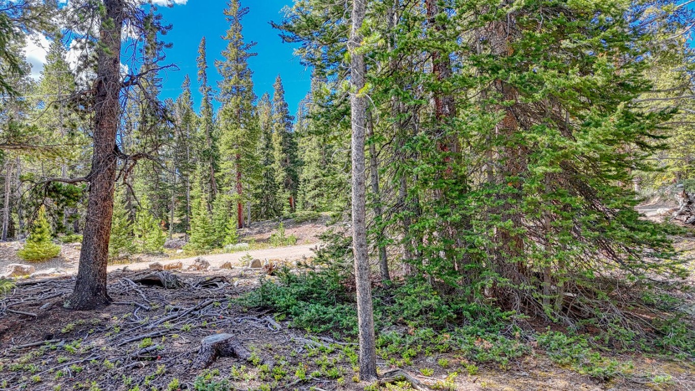 126 Gold Trail Cutoff Fairplay CO 80440