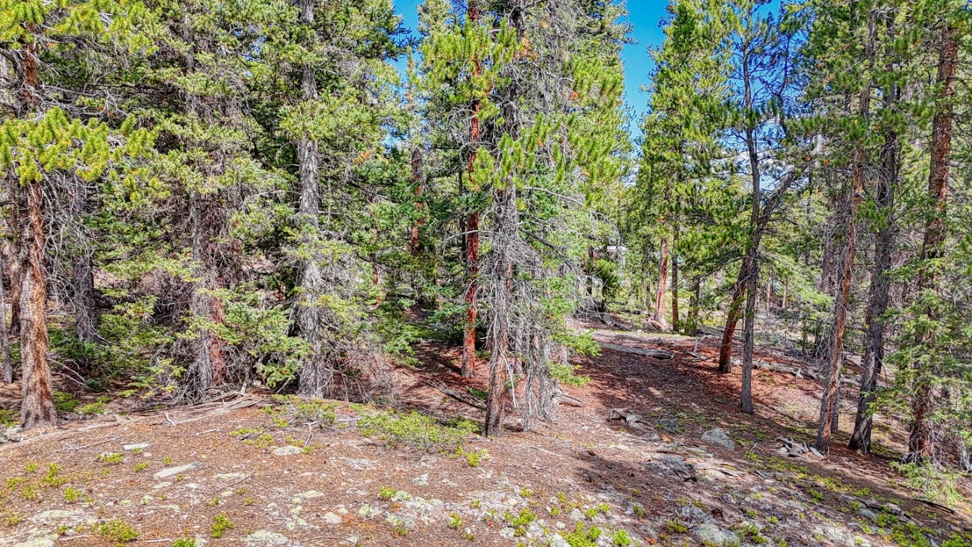 126 Gold Trail Cutoff Fairplay CO 80440