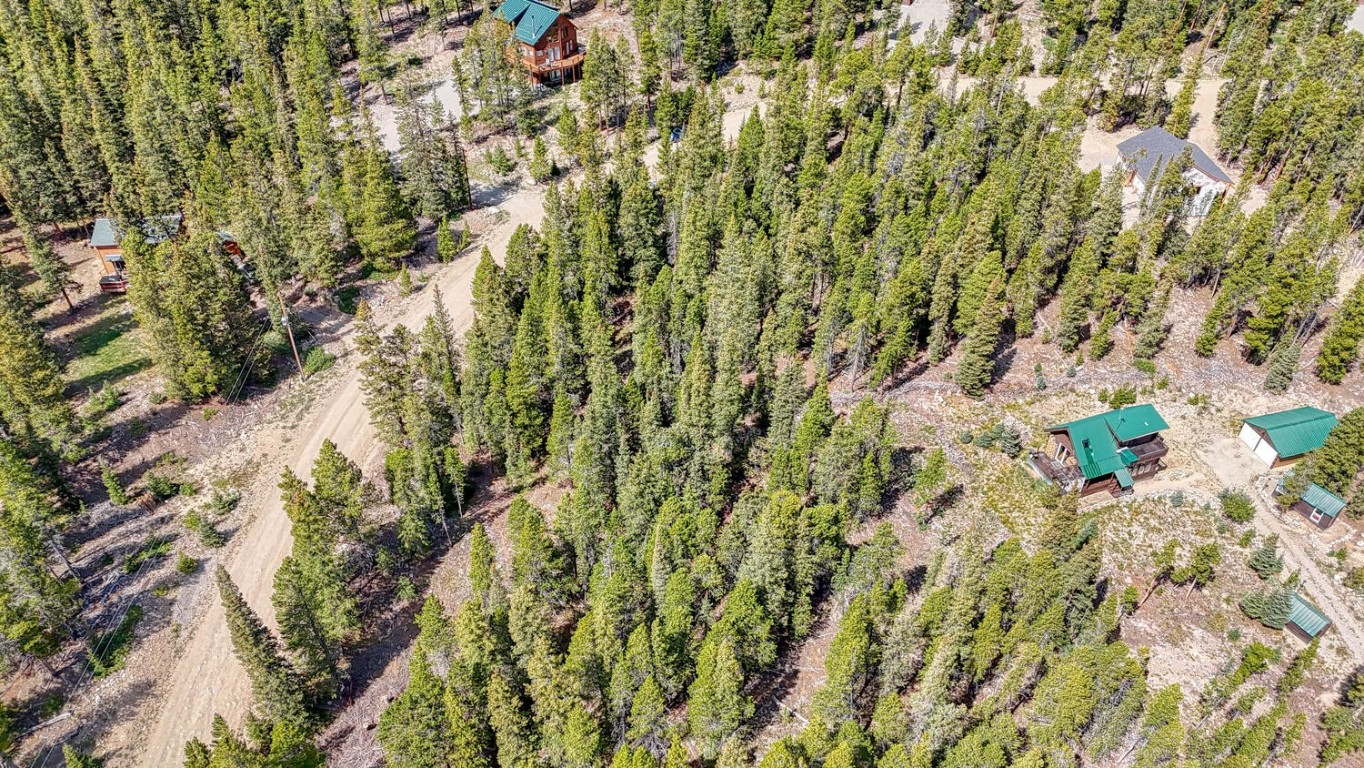 126 Gold Trail Cutoff Fairplay CO 80440