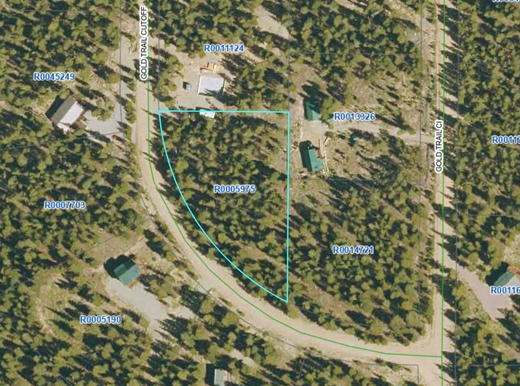 126 Gold Trail Cutoff Fairplay CO 80440