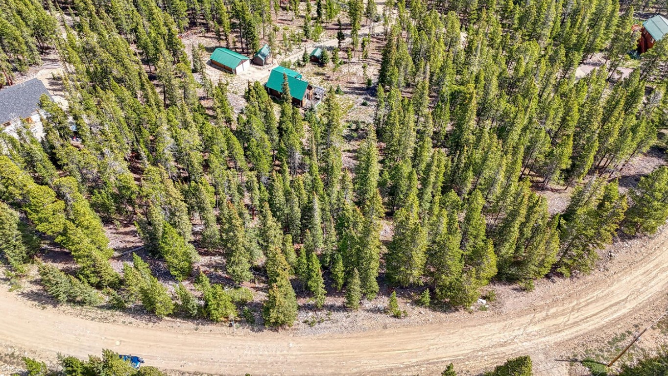 126 Gold Trail Cutoff Fairplay CO 80440