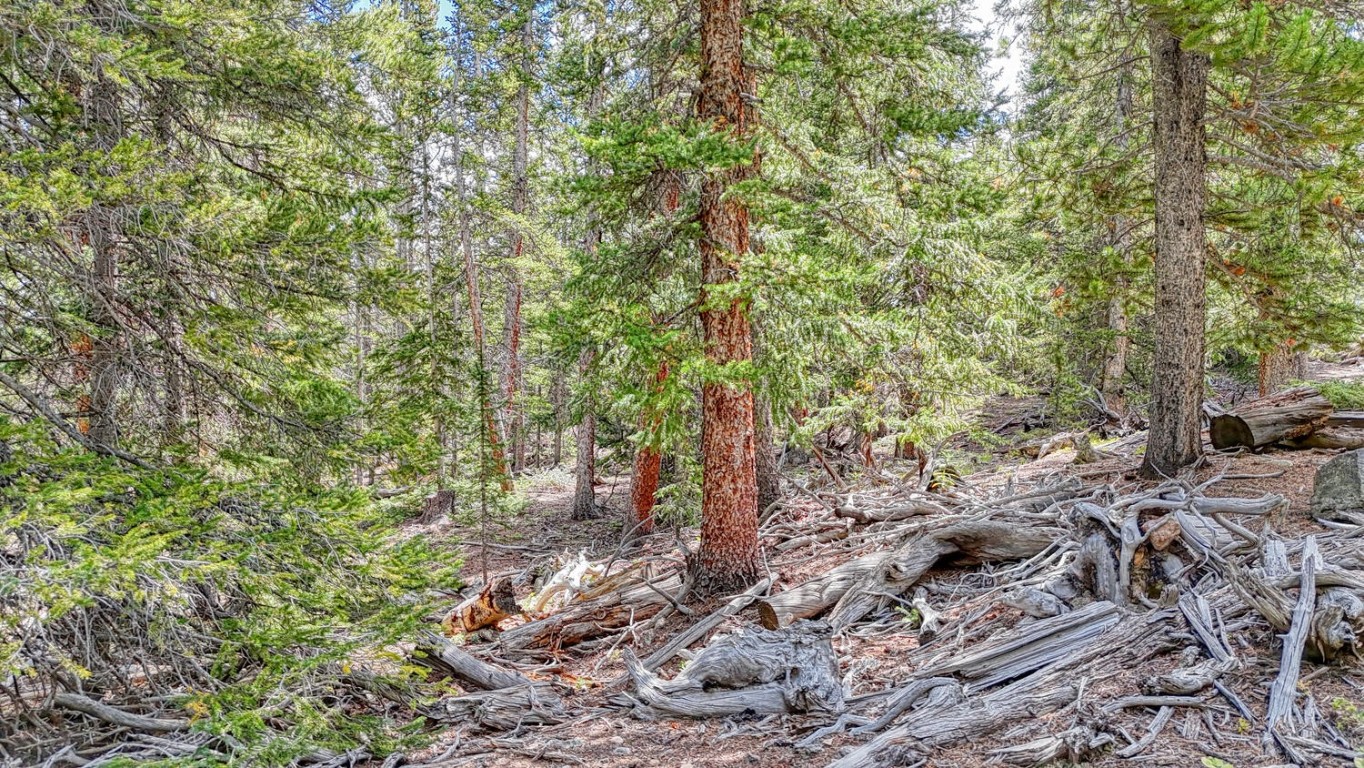 126 Gold Trail Cutoff Fairplay CO 80440