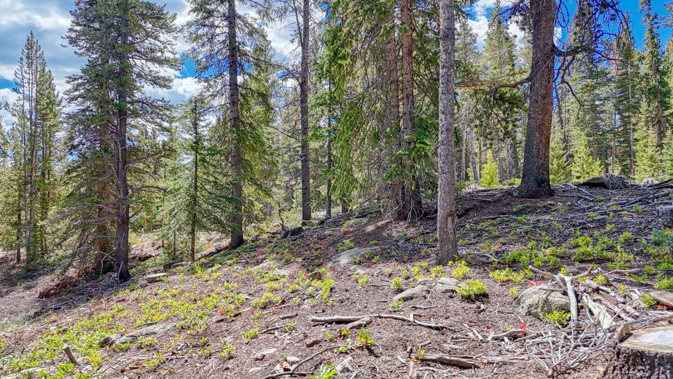 126 Gold Trail Cutoff Fairplay CO 80440