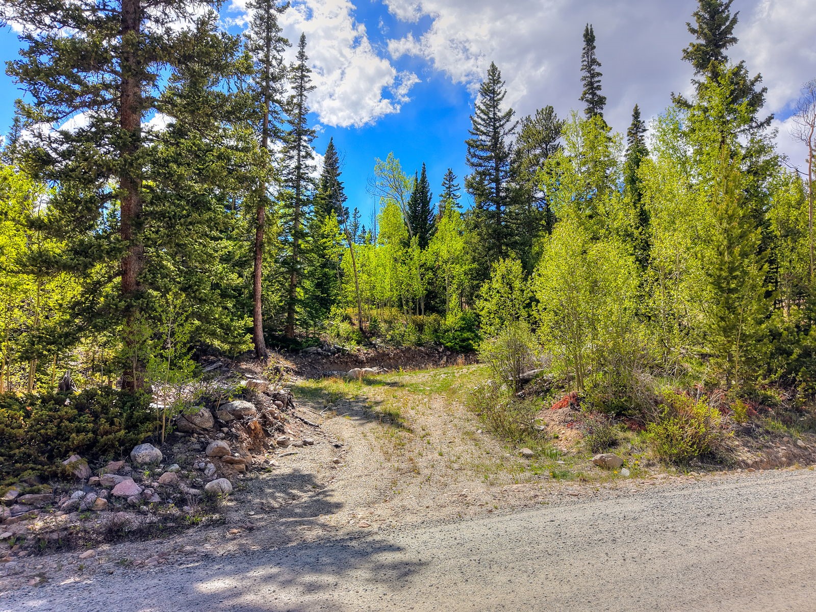 253 Mine Dump Road Alma CO 80440