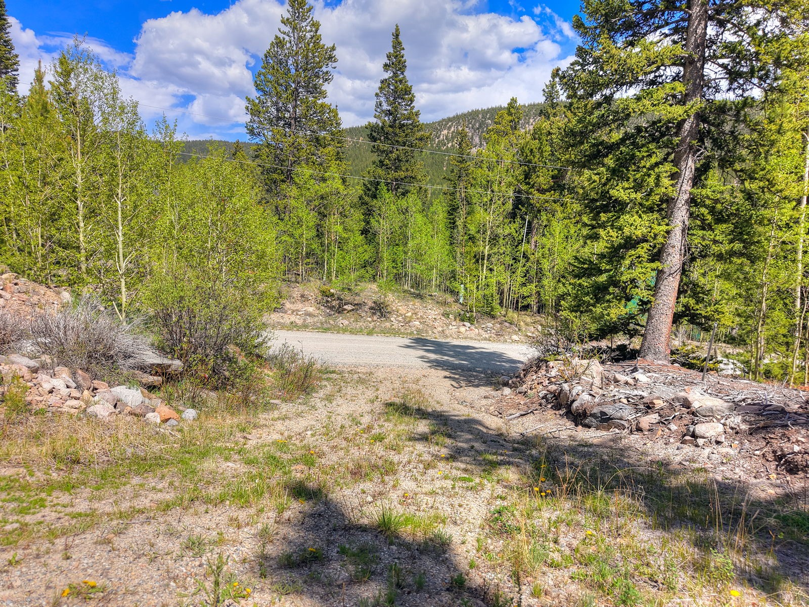 253 Mine Dump Road Alma CO 80440