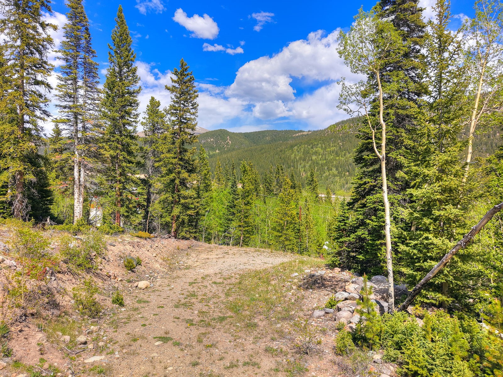 253 Mine Dump Road Alma CO 80440