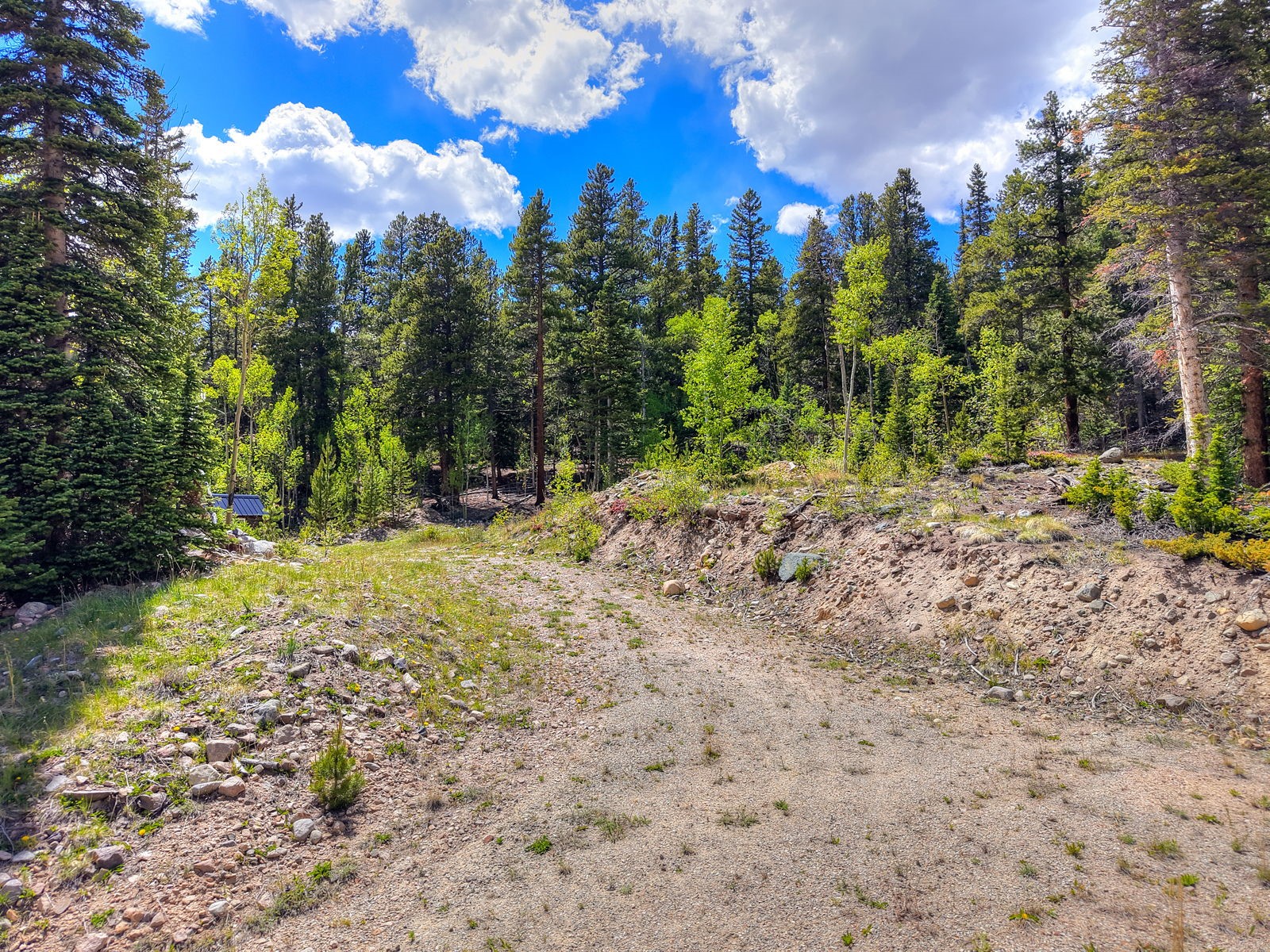 253 Mine Dump Road Alma CO 80440