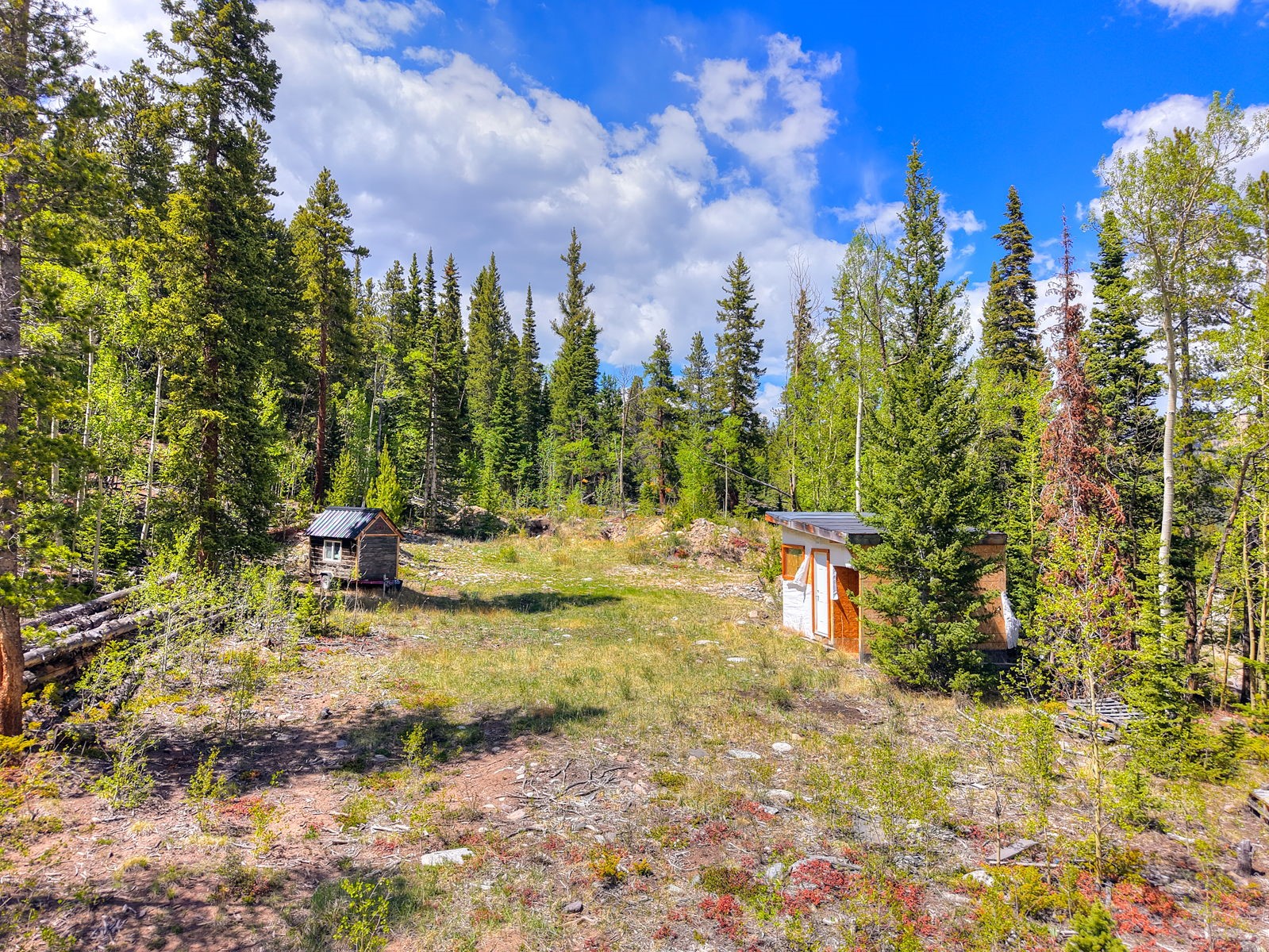 253 Mine Dump Road Alma CO 80440