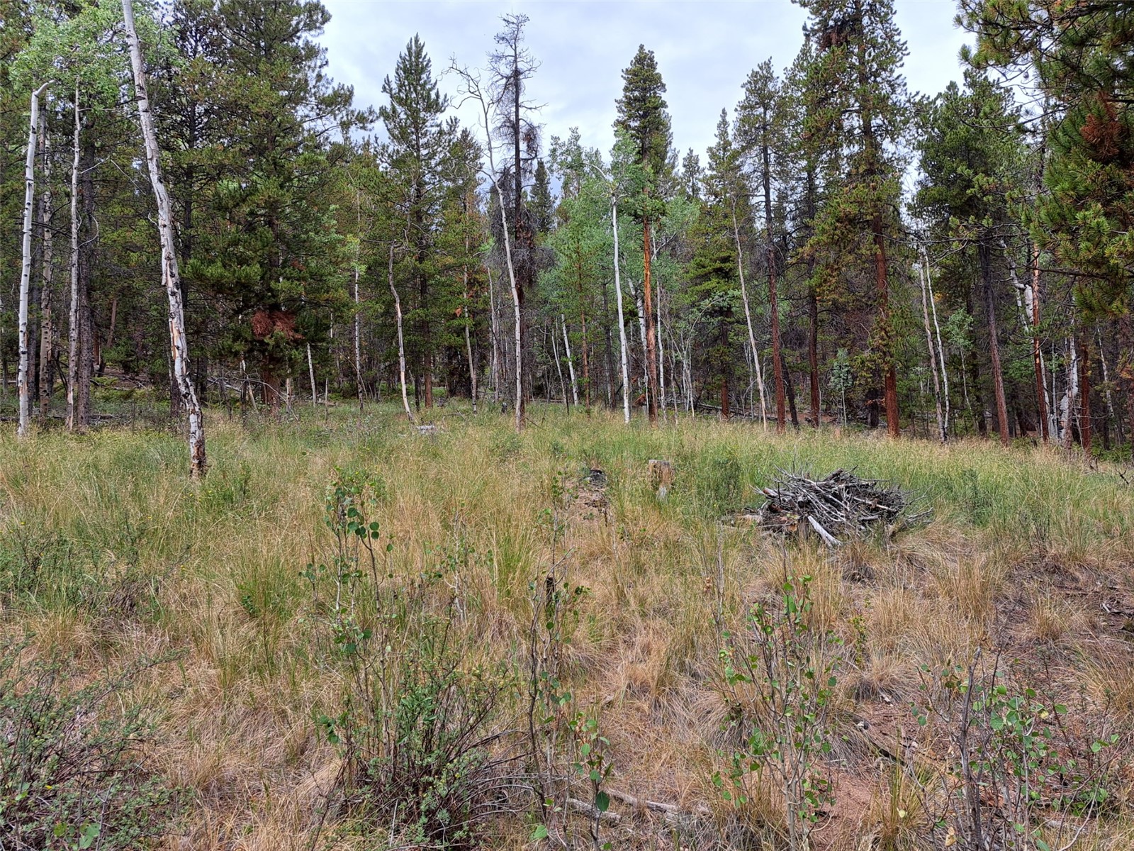 1201 Beaver Creek Road Fairplay CO 80440