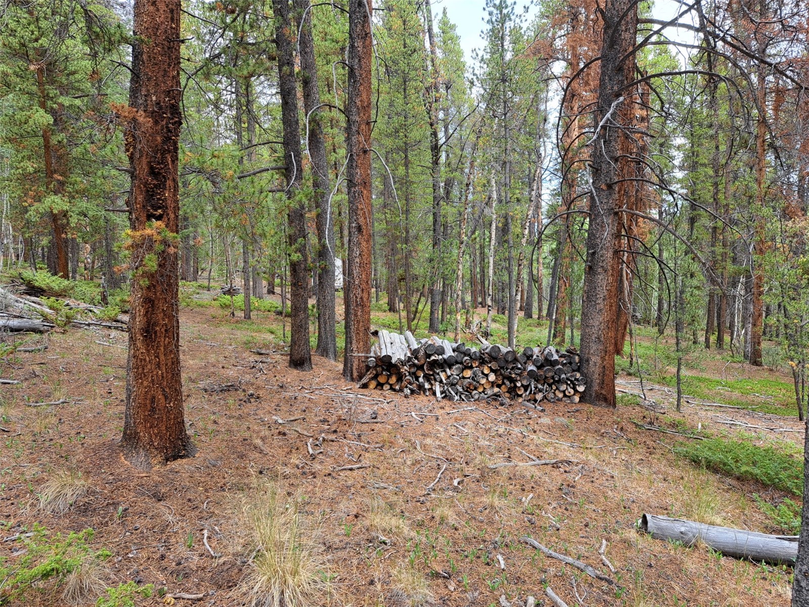 1201 Beaver Creek Road Fairplay CO 80440