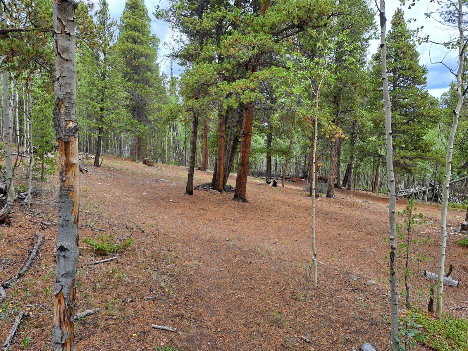 1201 Beaver Creek Road Fairplay CO 80440