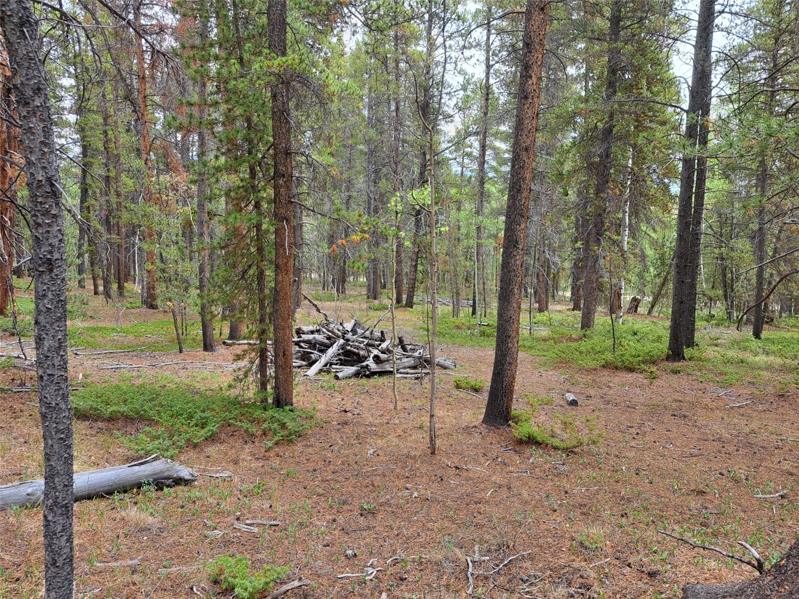 1201 Beaver Creek Road Fairplay CO 80440