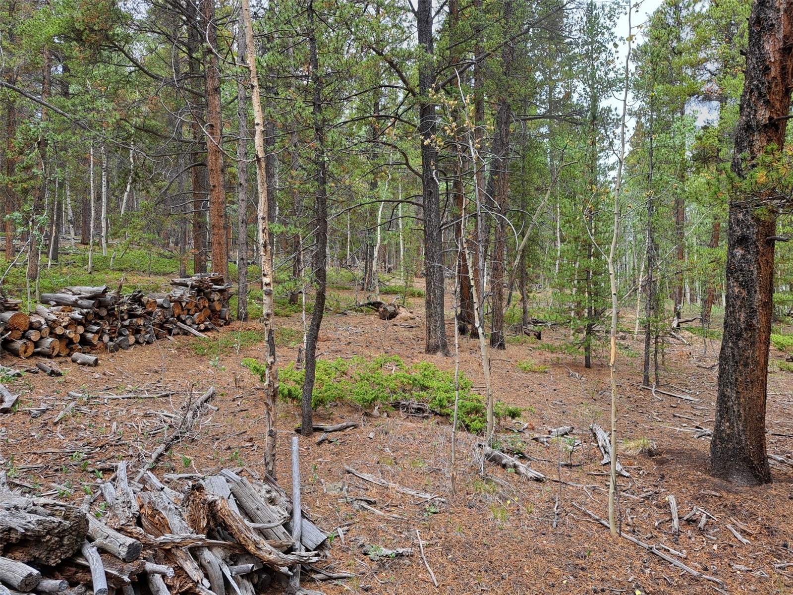 1201 Beaver Creek Road Fairplay CO 80440